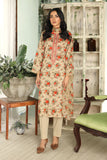 3 Piece Beige Embroidered Suit (DU0428)