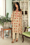 3 Piece Beige Embroidered Suit (DU0428)