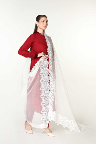 1 Piece  Organza Embroidered Dupatta  (AA5398)