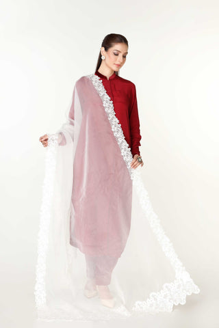 1 Piece  Organza Embroidered Dupatta  (AA5398)