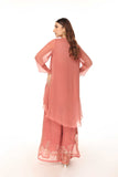 2 Piece Chiffon Embroidered Suit (AA5415)