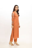 2 Piece  Chiffon Embroidered Suit (AA5425)