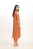 2 Piece  Chiffon Embroidered Suit (AA5425)