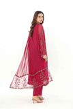 3 Piece Chiffon Embroidered Suit (AP0042)