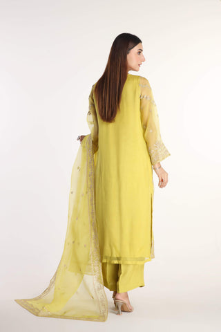 3 Piece Organza Embroidered Suit (AW0002)