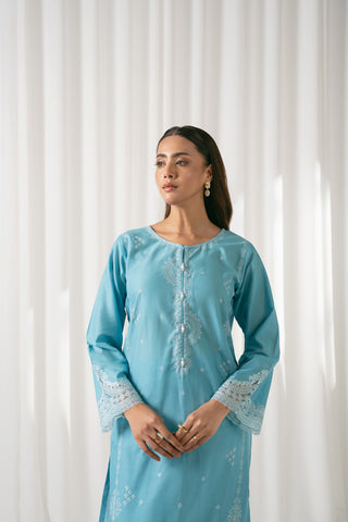 2 Piece Lawn Embroidered Suit (CS0062)