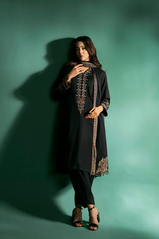 3 Piece Net Embroidered Suit (CS0072)