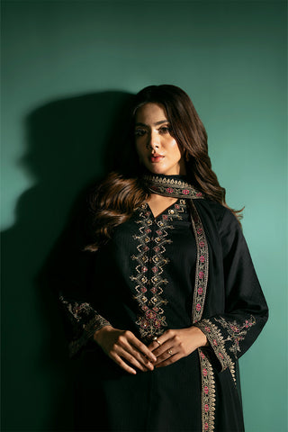 3 Piece Net Embroidered Suit (CS0072)