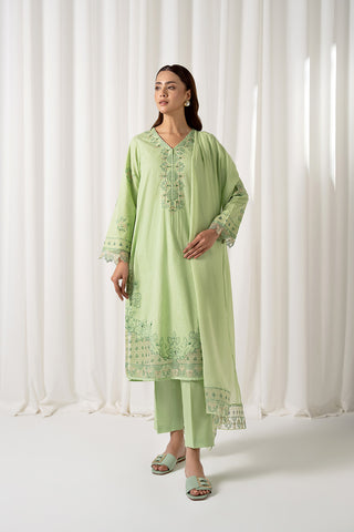 3 Piece Net Embroidered Suit (CS0081)