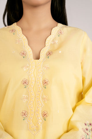 1 Piece Lawn Embroidered Shirt (CP0023)