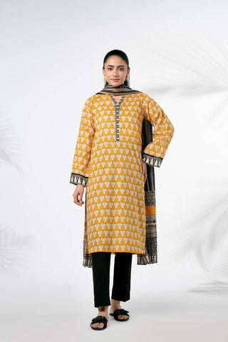 2 Piece Printed Lawn Printed Suit (PD1348)