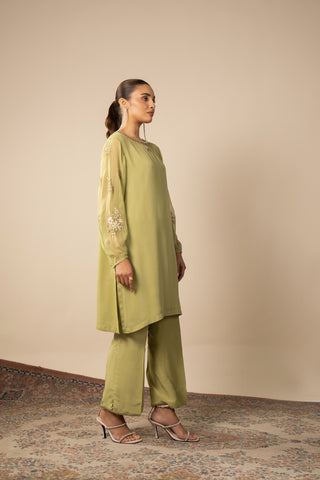 2 Piece Chiffon Embroidered Suit (AS0479)