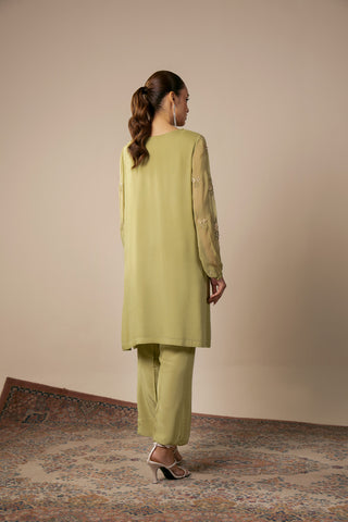 2 Piece Chiffon Embroidered Suit (AS0479)