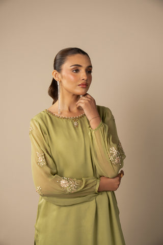 2 Piece Chiffon Embroidered Suit (AS0479)