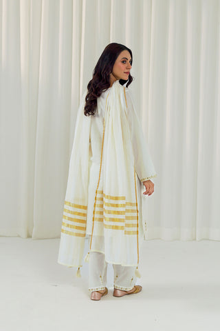 3 Piece Lawn Embroidered Suit (CS0014)