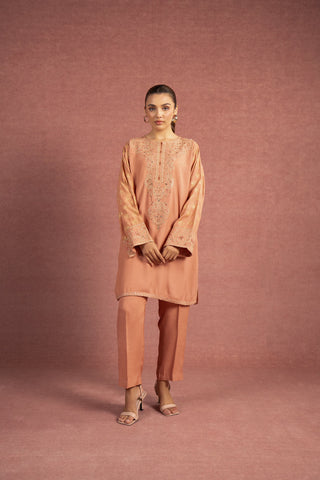 2 Piece Peach Embroidered Suit (AS0478)