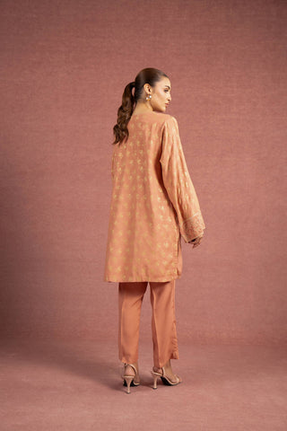 2 Piece Peach Embroidered Suit (AS0478)