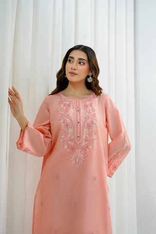 2 Piece Lawn Embroidered Suit (BA0149)