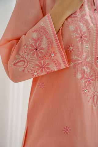 2 Piece Lawn Embroidered Suit (BA0149)