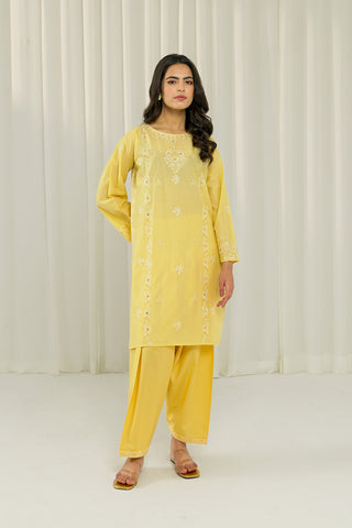 2 Piece Lawn Embroidered Suit (BA0143)