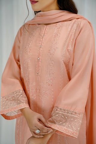 3 Piece Lawn Embroidered Suit (BA0156)