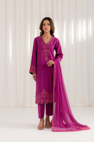 3 Piece Net Embroidered (CS0096)