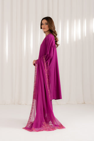 3 Piece Net Embroidered (CS0096)