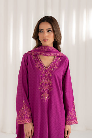 3 Piece Net Embroidered (CS0096)