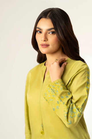 2 Piece Lawn Embroidered Suit (CE0002)