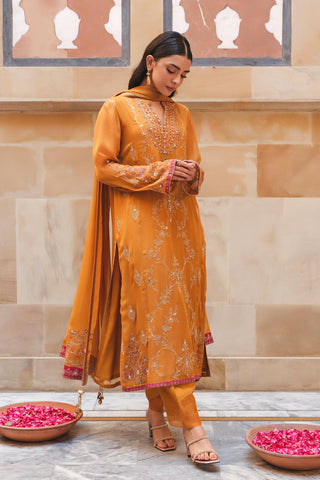 3 Piece Chiffon Embroidered Suit (AU0017)