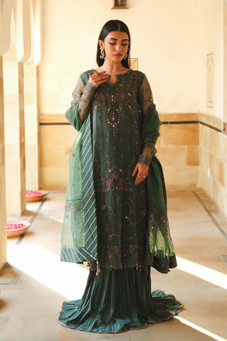 3 Piece Organza Embroidered Suit (AU0016)