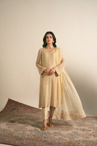 3 Piece Chiffon Embroidered Suit (FL0013)