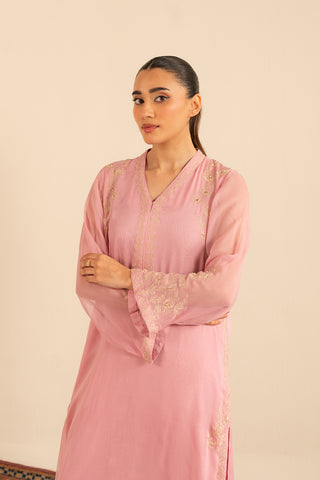 2 Piece Chiffon Embroidered Suit (FS0016)