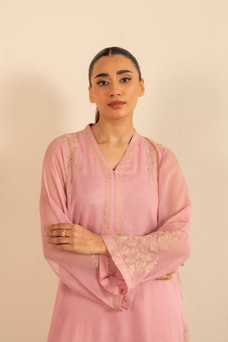 2 Piece Chiffon Embroidered Suit (FS0016)